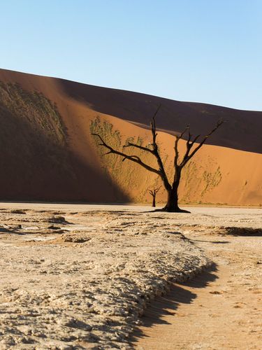 Tourguide Namibia: Dead Vlei 